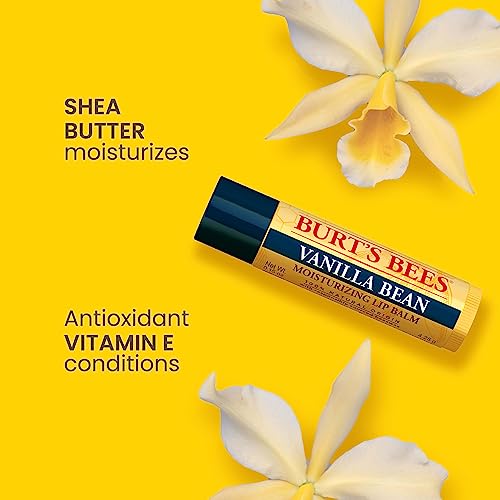 Burt's Bees Vanilla Bean Lip Balm: Christmas Gifts for Moisturizing Lip Care (2-Pack)