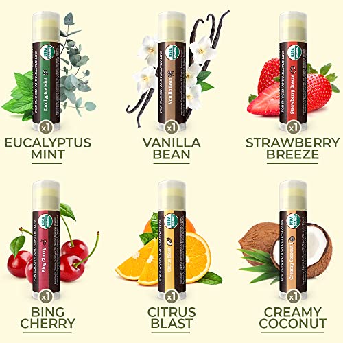Organic Lip Balm 6-Pack, Fruit Flavors, Moisturizing Dry Lips