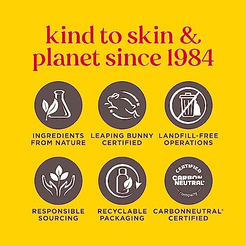 Burt's Bees Vanilla Bean Lip Balm: Christmas Gifts for Moisturizing Lip Care (2-Pack)